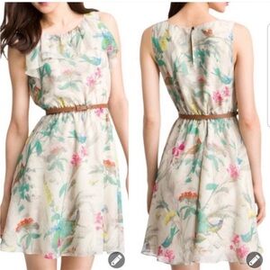 EUC Ted Baker London Bird Dress